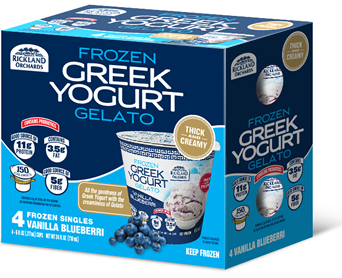 vanilla blueberri frozen greek yogurt gelato